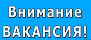 Швея-Портная вакансия ул. Богдановича 118 тел. 8025 982 44 19
